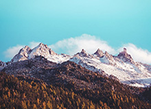 开云-星空体育登录入口：开启你的专属运动新世界