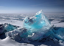 体育赛事——点燃激情，见证荣耀的舞台